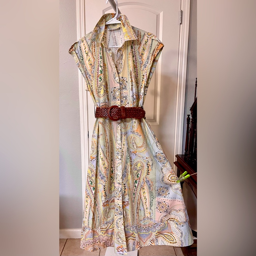 ZARA European flare Button down Dress S